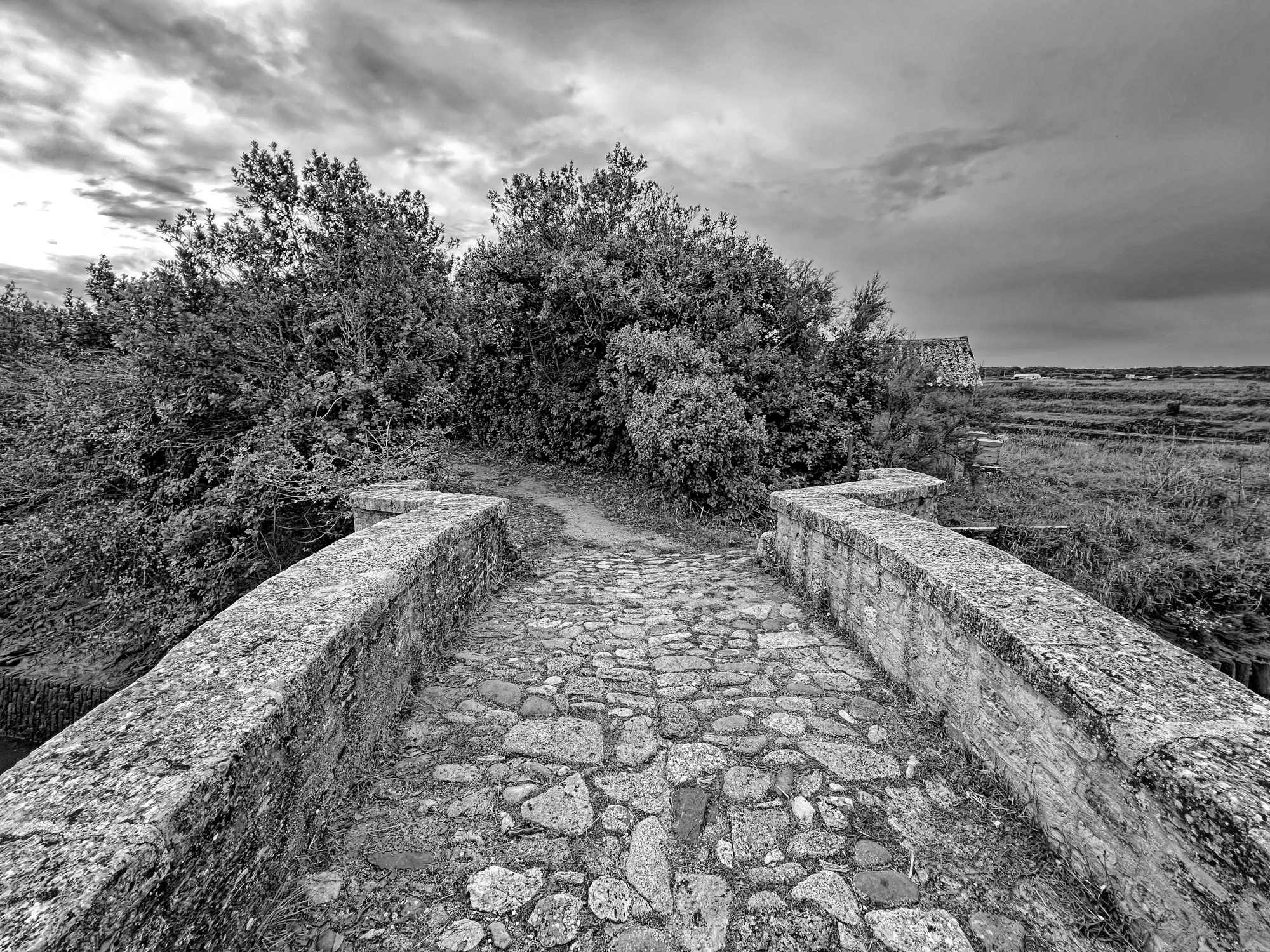 Un pont qui n&rsquo;a de Napoléon que son âge